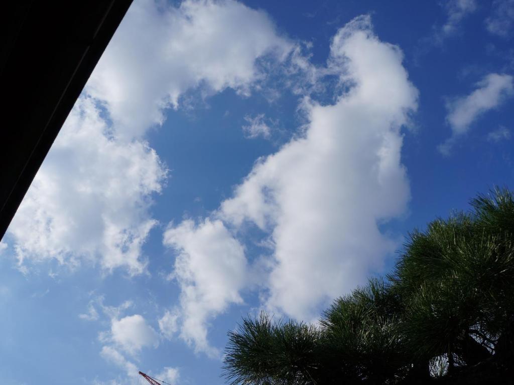 Guesthouse itoya Kyoto（京都糸屋旅馆） 外观 照片